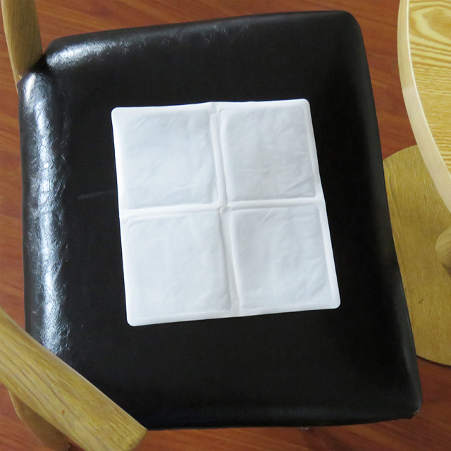 heating cushion 加熱クッション