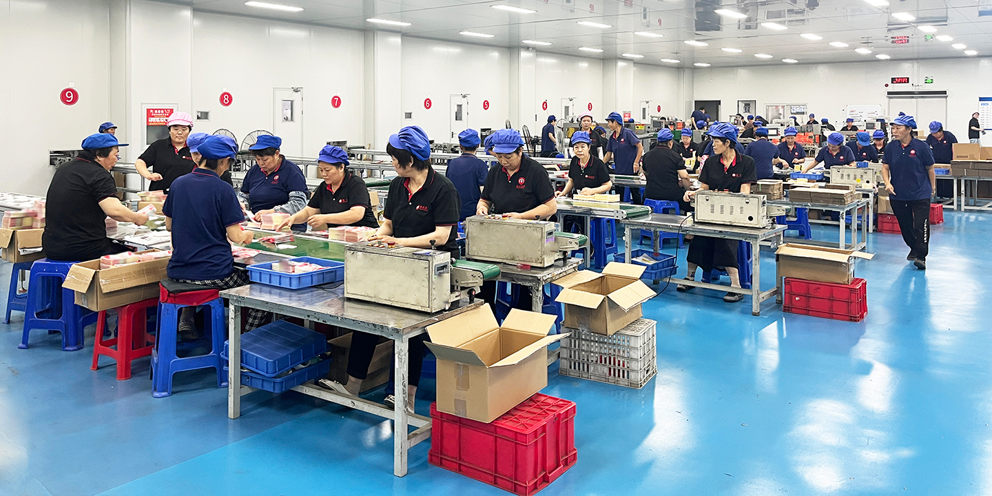 クリーンルーム加熱パッド生産ワークショップ